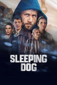 Sleeping Dog (Schlafende Hunde)